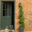 Artificial cedar spiral trees outside green front door