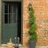 Artificial cedar spiral trees outside green front door
