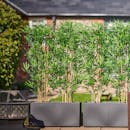 Artificial outdoor bamboo in planters, outdoor screening