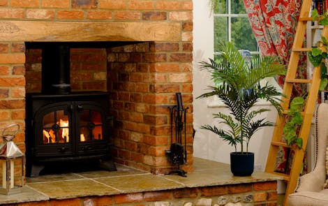 Artificial paradise palm by fireplace