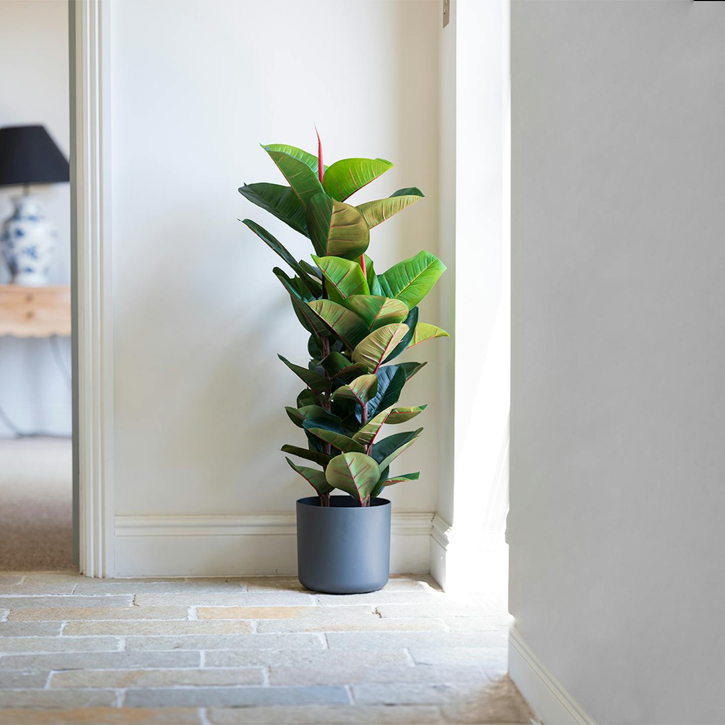 Artificial rubber tree against white walls