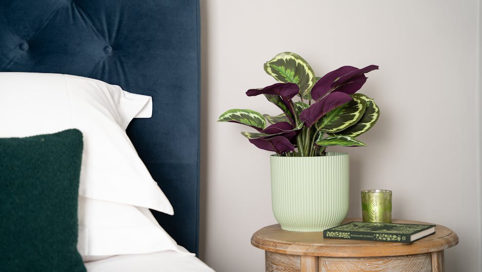 Artificial medallion calathea in vibes fold pot on bidside table