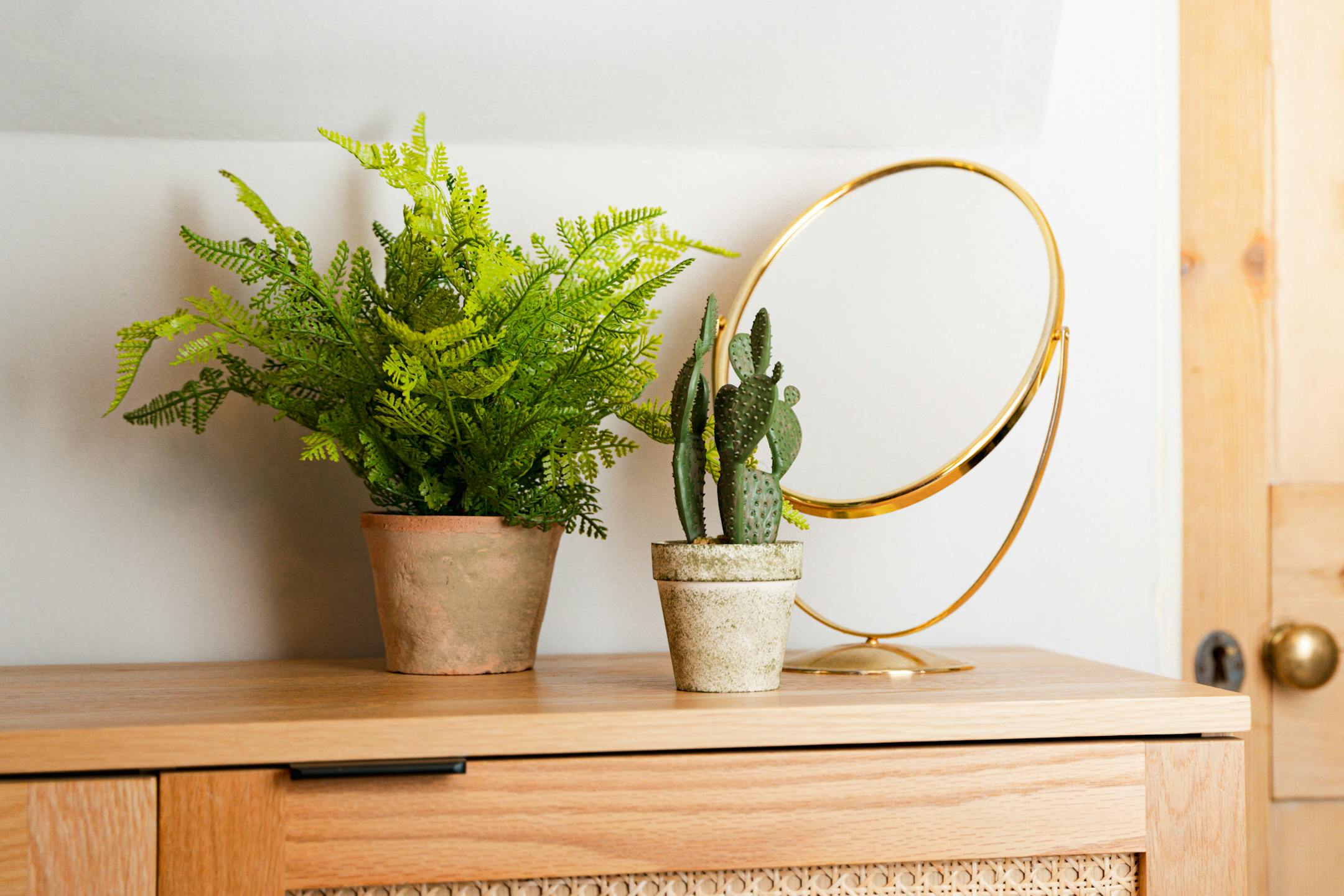 Forest fern on console table