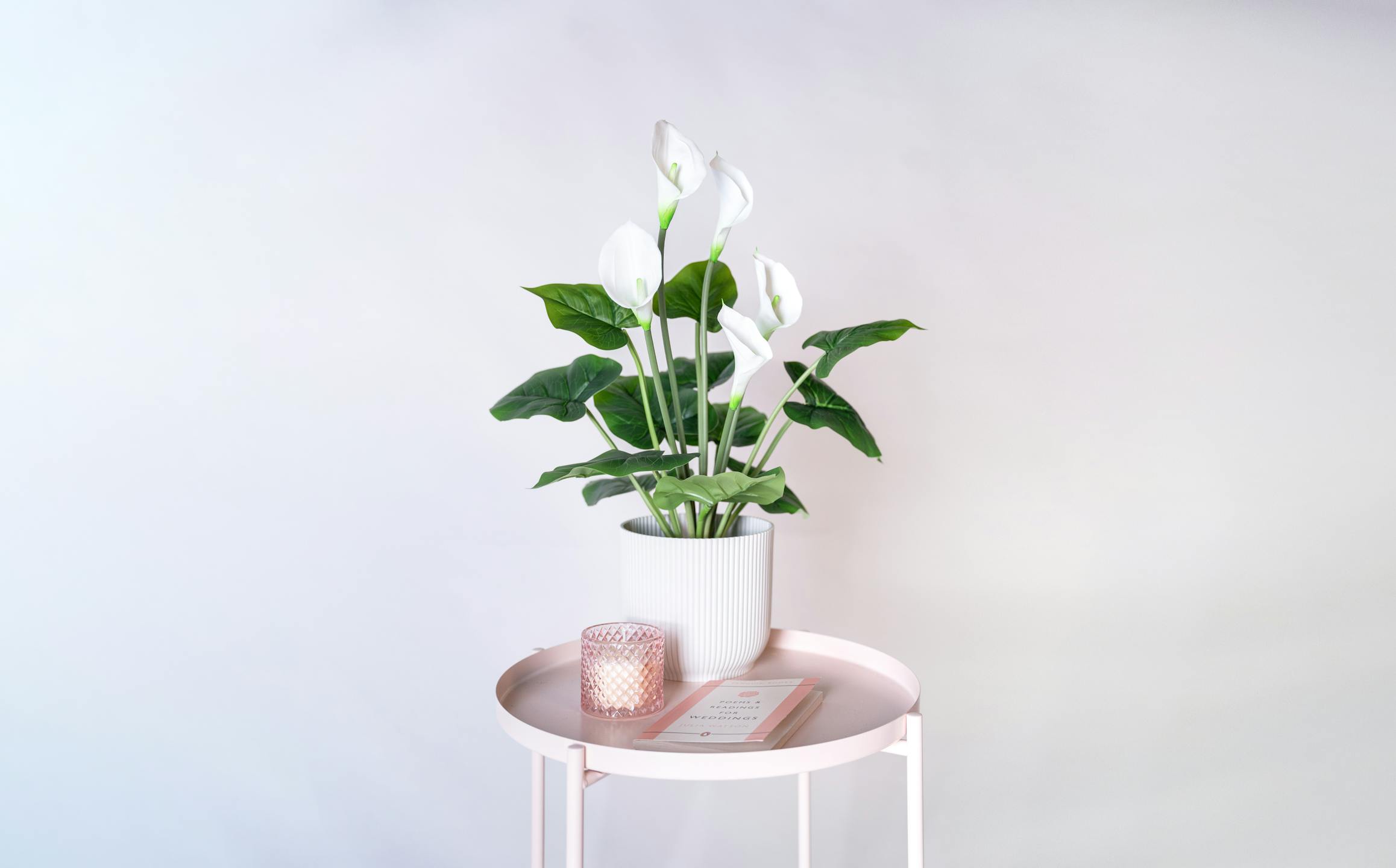 Artificial calla lily on pink console table studio styled shot