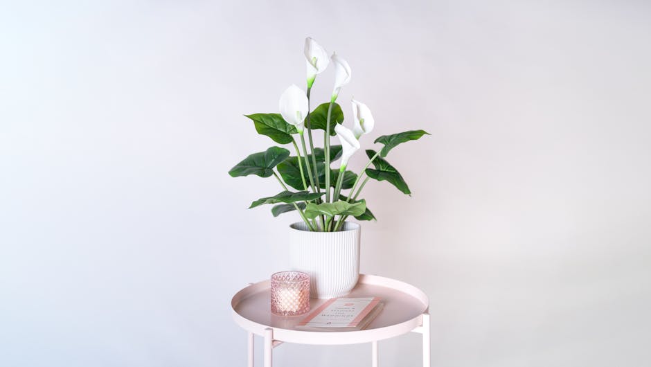 Artificial calla lily on pink console table studio styled shot