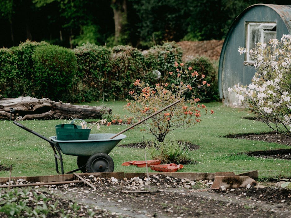 Autumn garden maintenance - blog post by Blooming Artificial