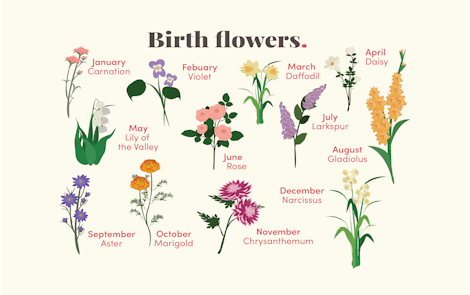 Birth flower type by month graphic