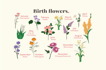 Birth flower type by month graphic