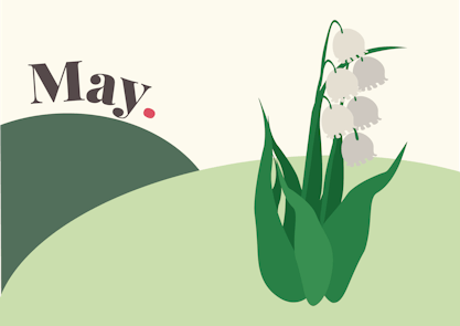 Birth flower for May