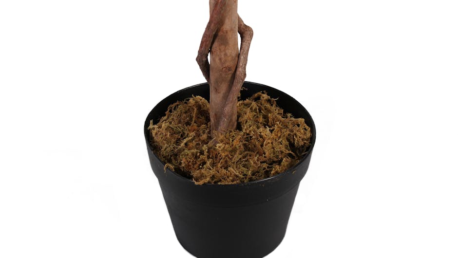 Blooming Artificial bay tree pot