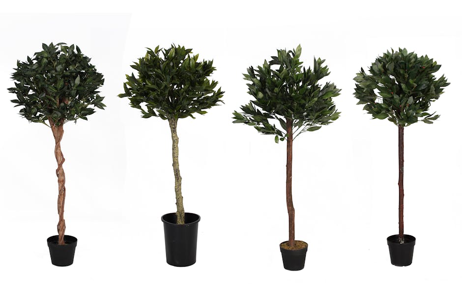 Artificial bay laurel tree comparison - blog post by Blooming Artificial