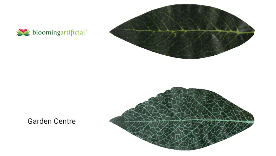 Artificial bay tree UV leaf comparison