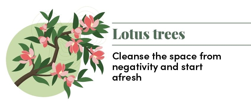 Lotus tree meaning - blog post by Blooming Artificial