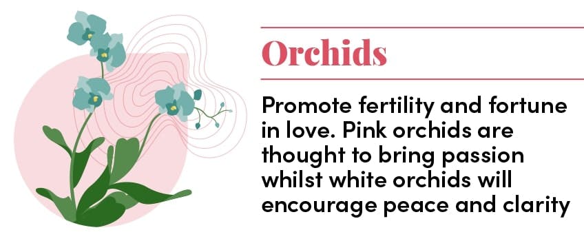 Orchid decor info