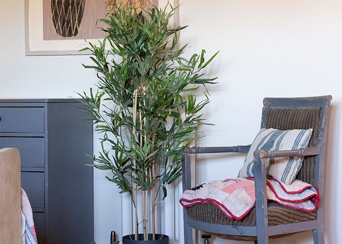 Artificial oriental bamboo tree by Blooming Artificial