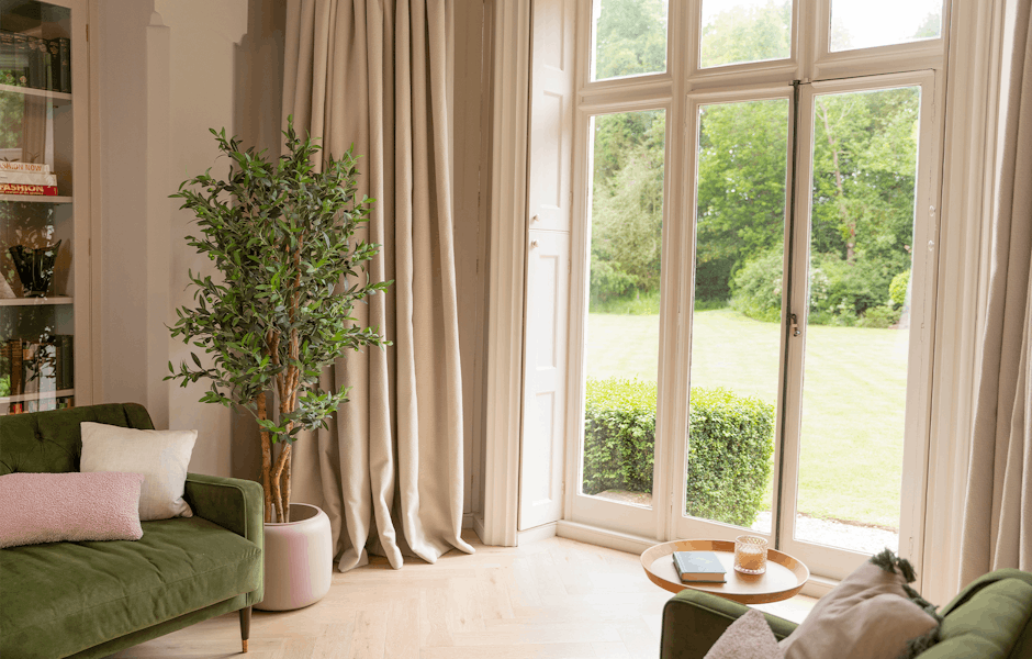 Artificial olive tree standing with green sofa by large window