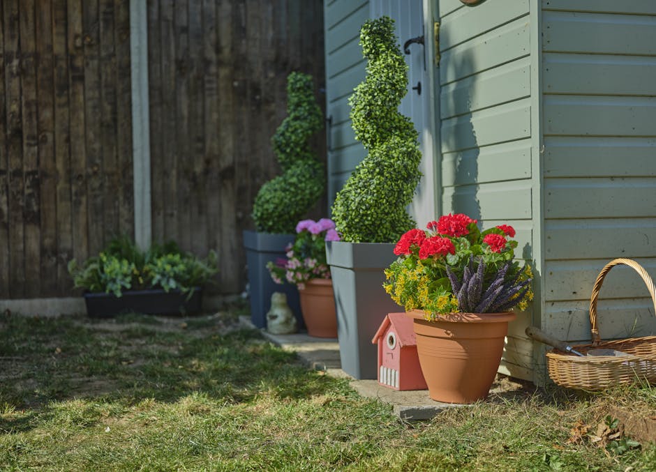 Blue garden shed with artificial topiary trees and faux flower tubs