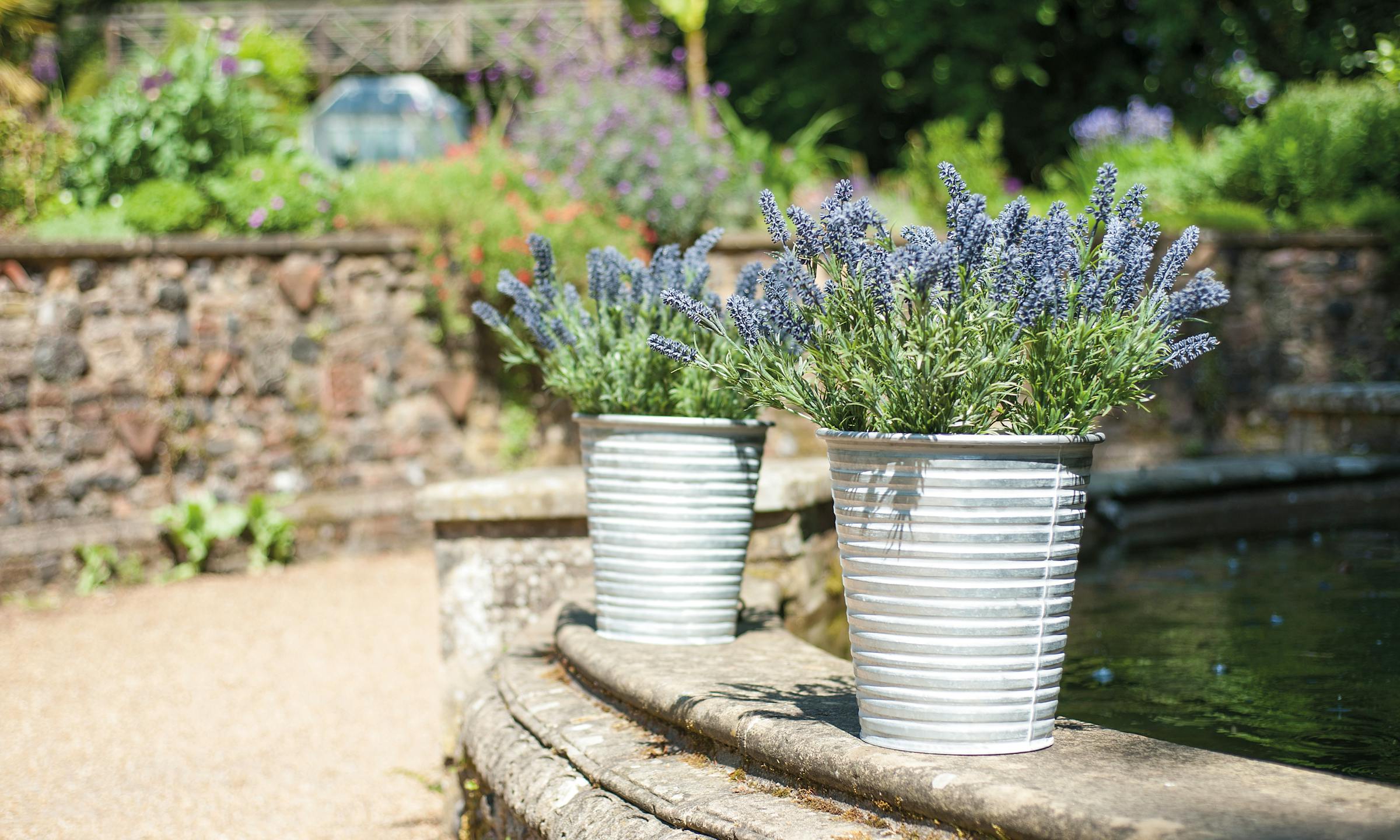 Artificial lavender tin planters in garden