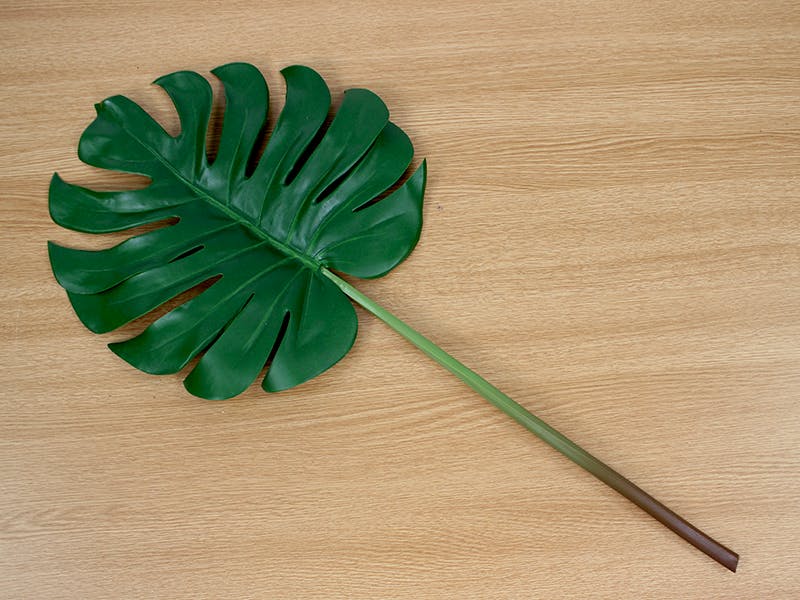 Artificial cheese plant leaf stem