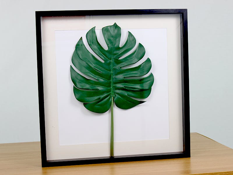 Artificial monstera leaf in frame