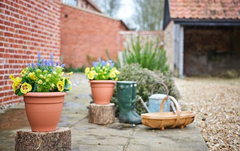 How to clean artificial plants - blog post by Blooming Artificial