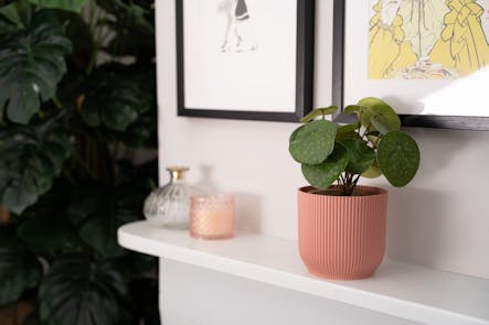 Artificial pilea house plant in pink pot on white mantlepiece