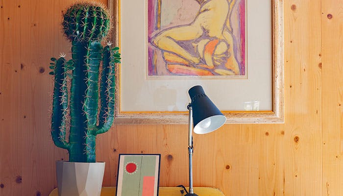 Artificial san pedro cactus on table