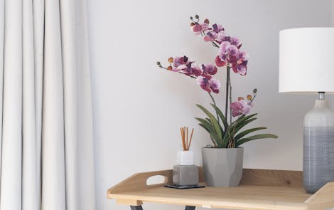 Pink vanda orchid on a desk