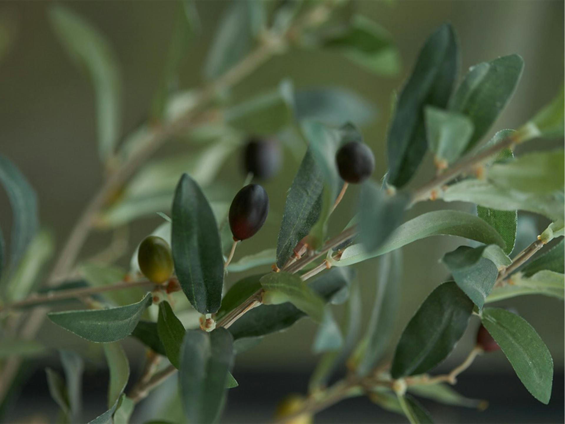 Faux mini olive tree foliage