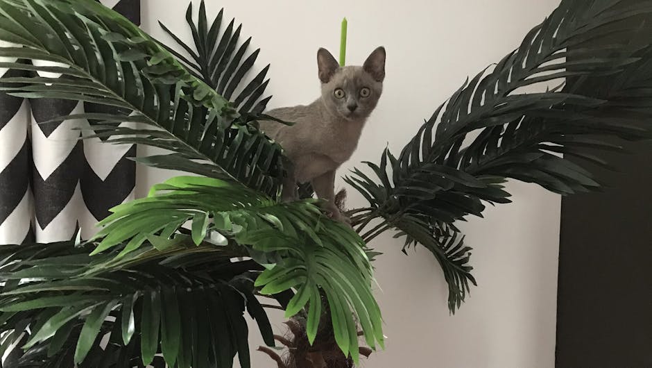 Cat sitting in artificial palm tree