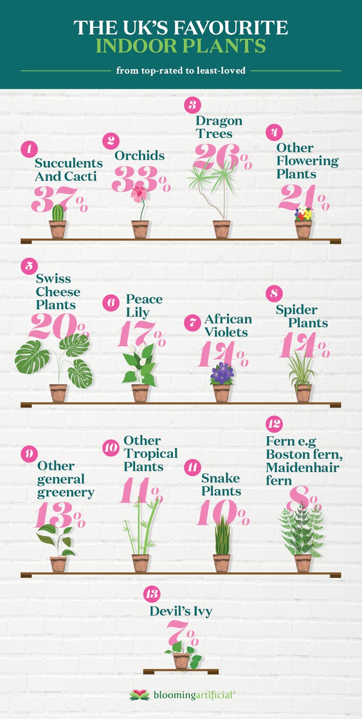 Houseplant trends for 2020 - blog post by Blooming Artificial