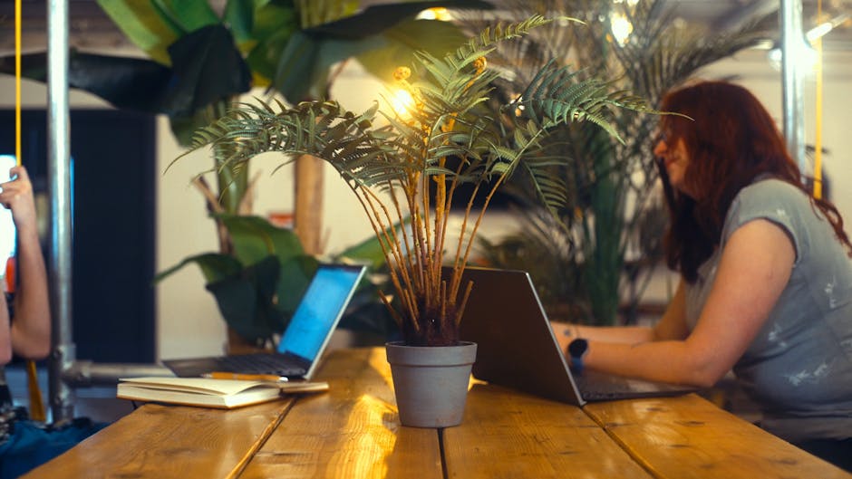 Meeting space with artificial fern dicksonia on wooden bench