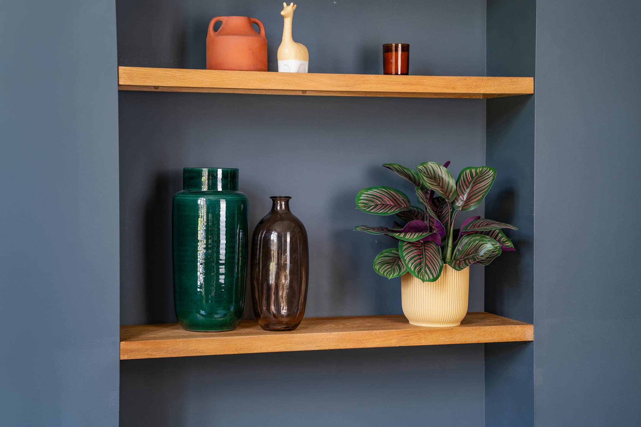 Faux pinstripe calathea plant on shelf in dark blue interior