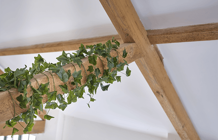 Artificial ivy on wooden beam