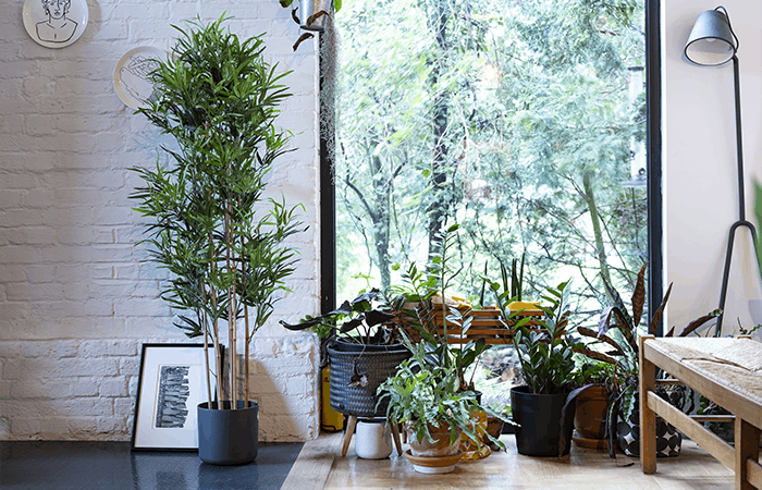 Faux oriental bamboo tree with houseplants