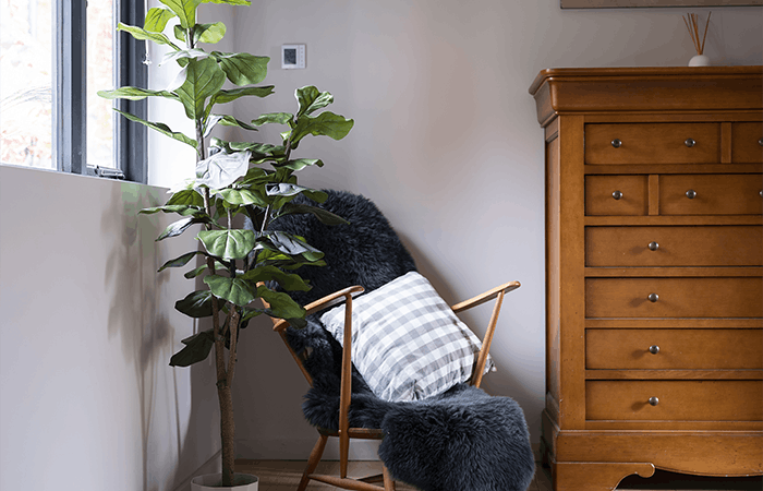 Faux fiddle leaf fig tree with armchair
