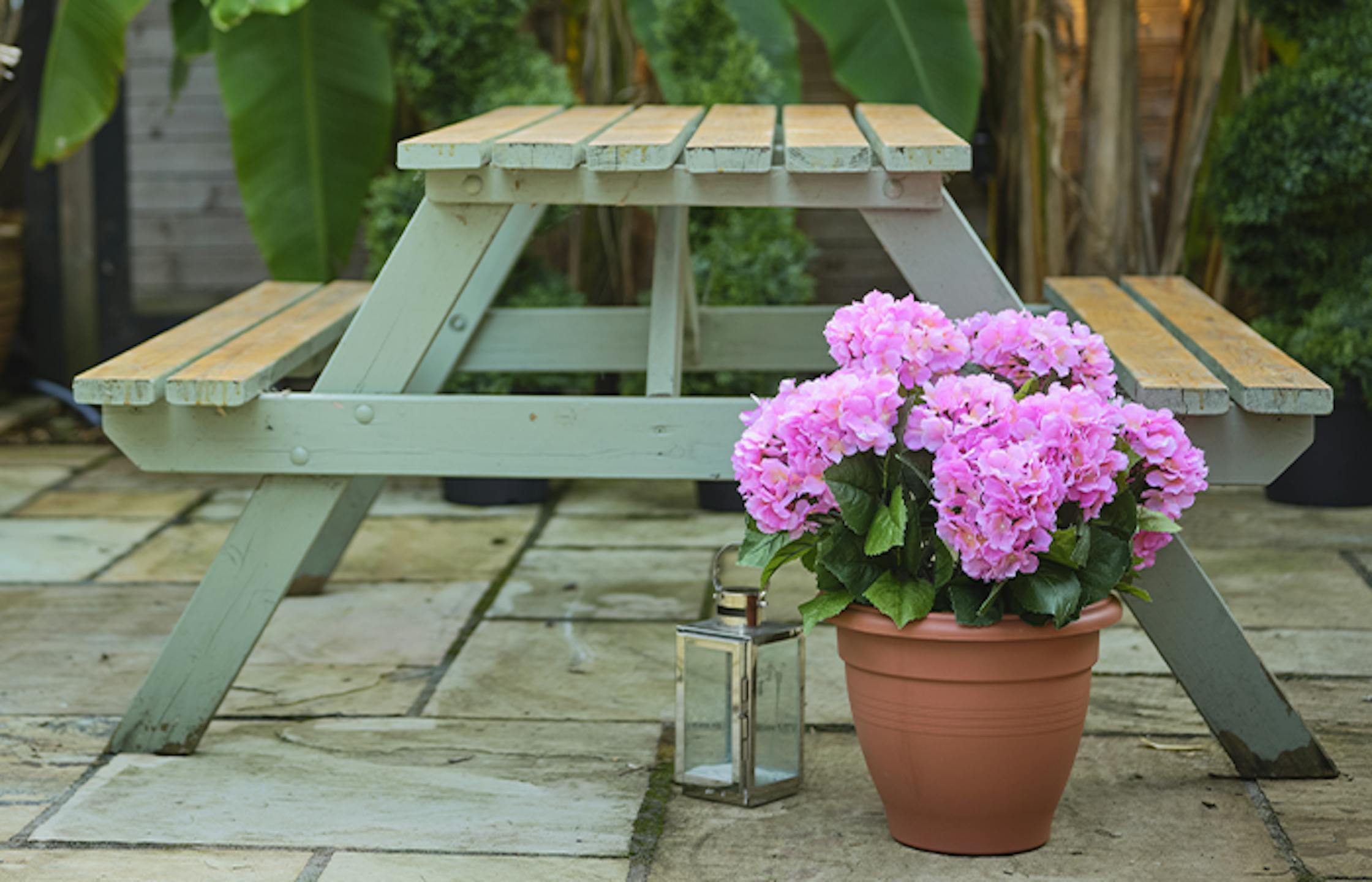 Pink hydrangea patio planter with green garden bench