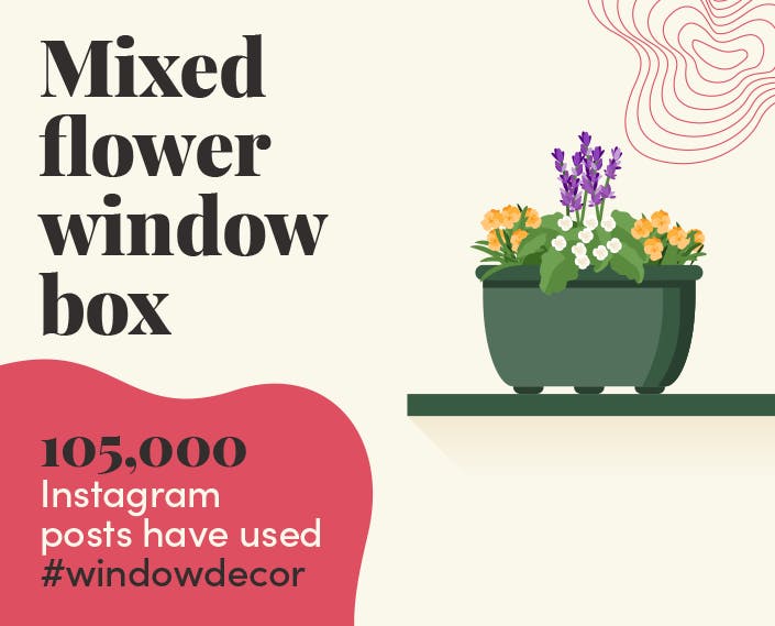 Mixed flower window box instagram info