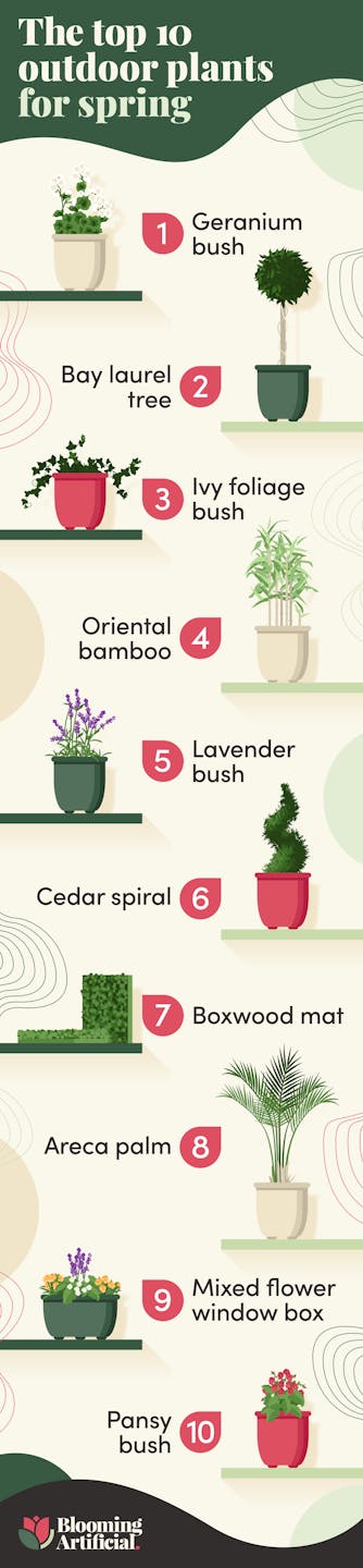 Top spring outdoor plants 2021 - blog post by Blooming Artificial
