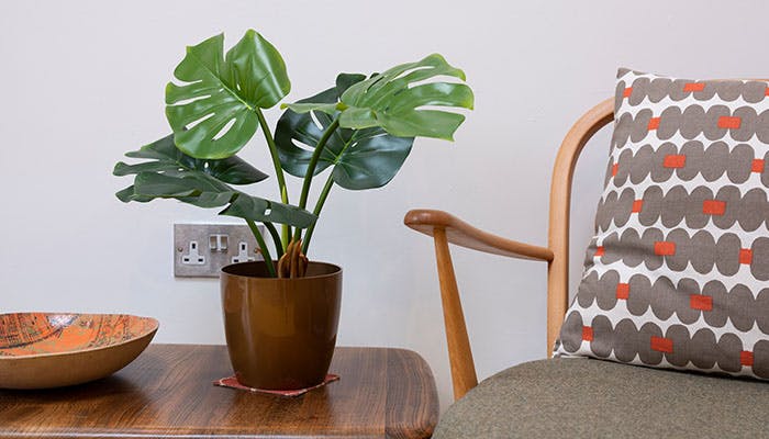 Faux monstera houseplant on table