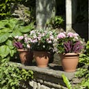 pre-potted artificial faux plants and flowers for indoor and outside
