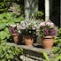 pre-potted artificial faux plants and flowers for indoor and outside