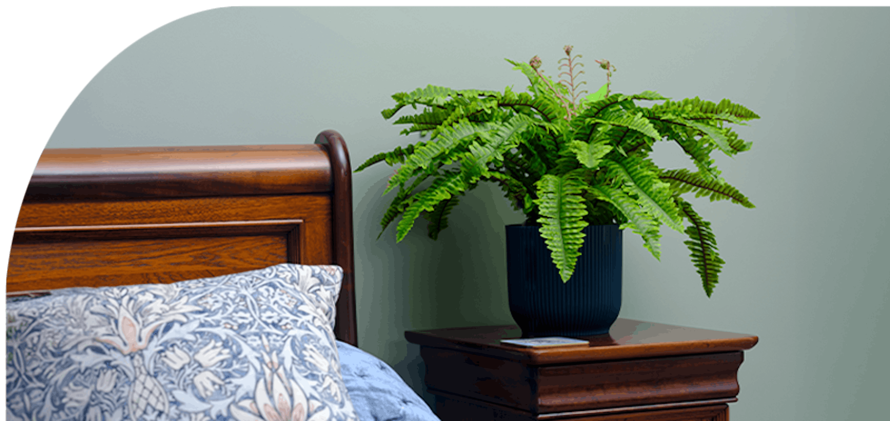 Faux Boston fern in blue bedroom on bedside table