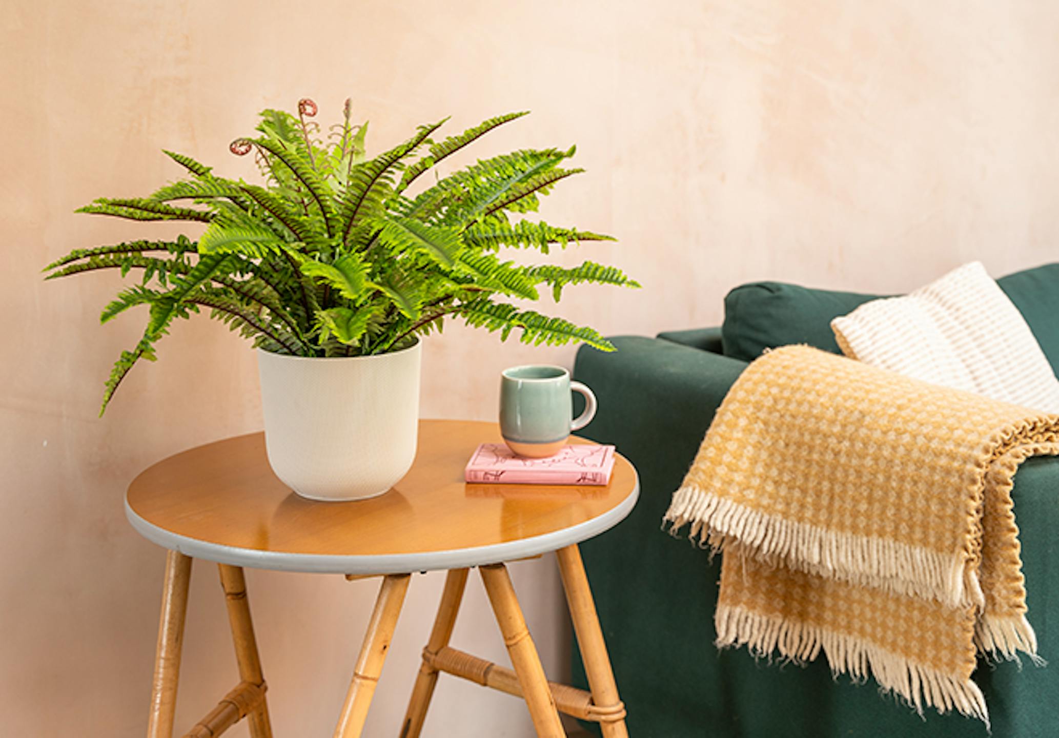 Artificial Boston fern against plaster wall