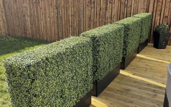 artificial outdoor garden hedges