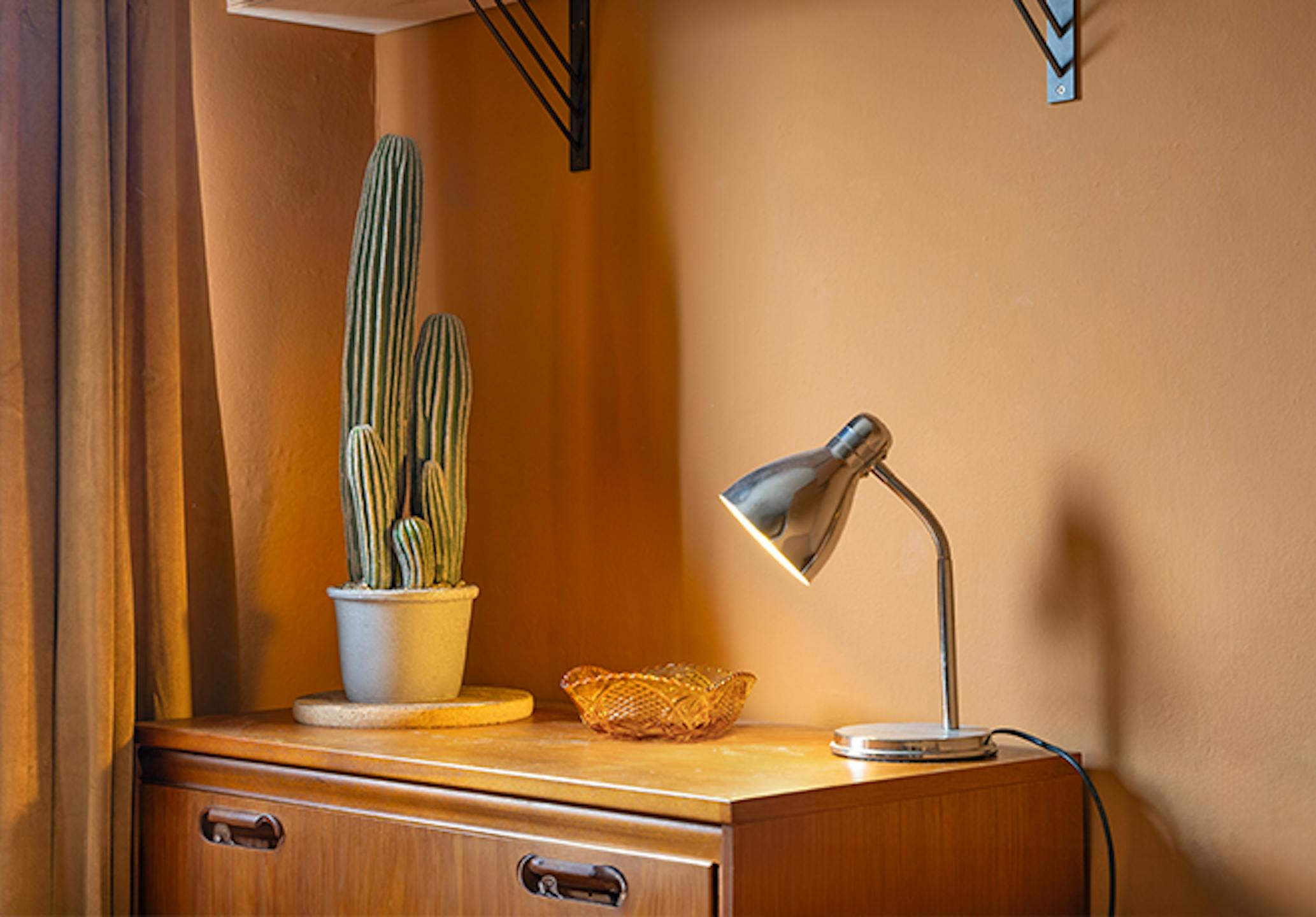 Artificial san pedro cactus in orange bedroom