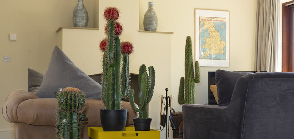 group of artificial cacti