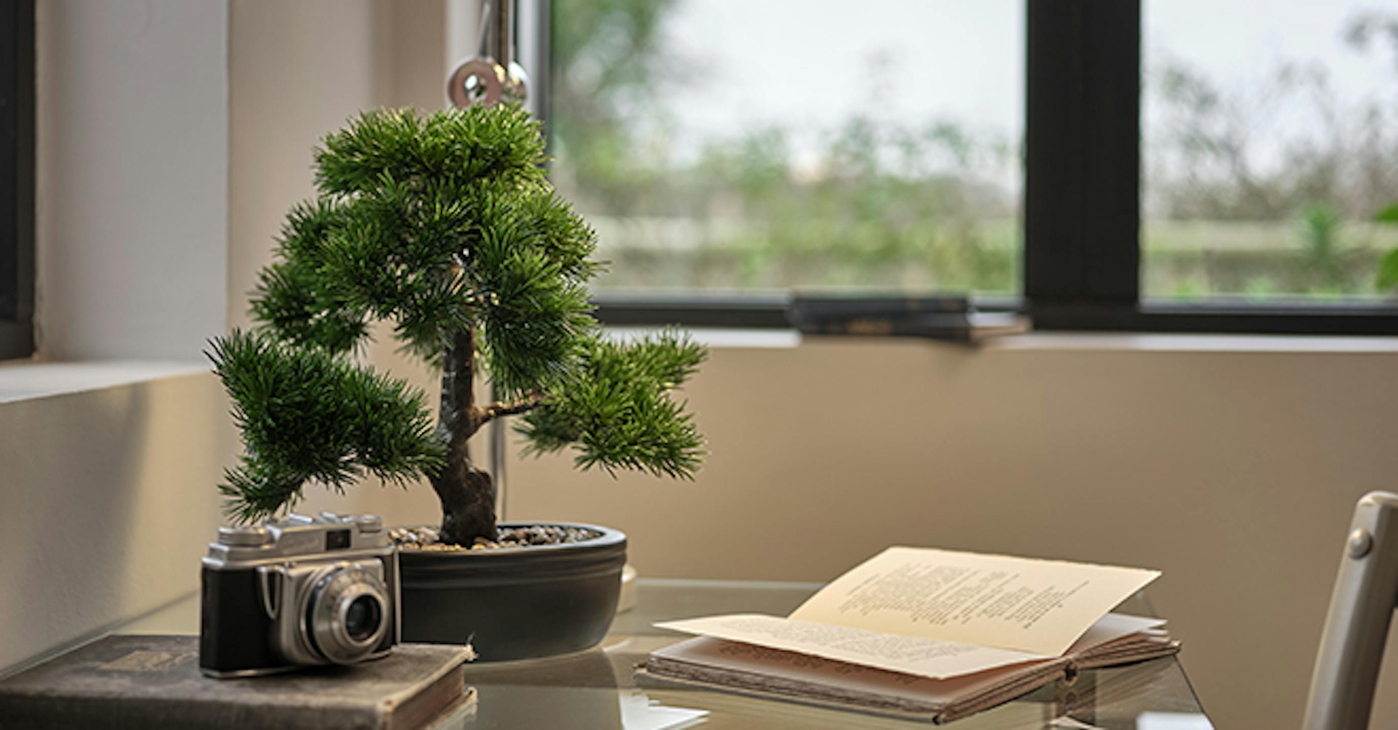 Artifiical bonsai plant - desktop faux plants