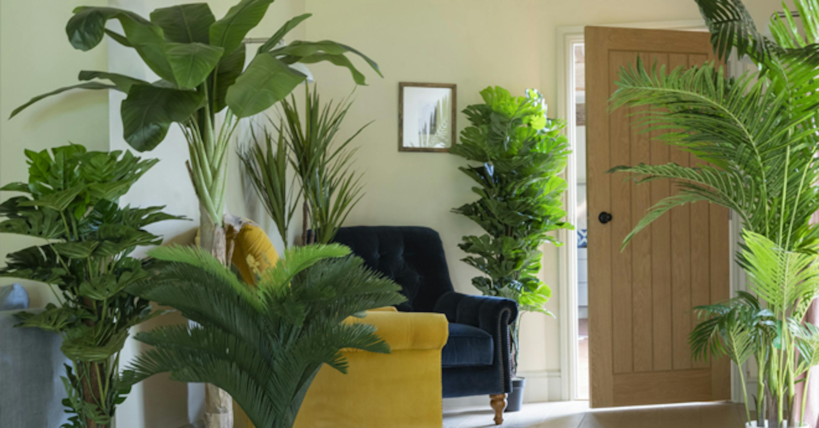 Exotic palms in cozy entrance