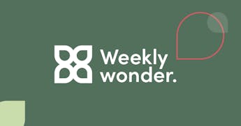 Weekly wonder product offer graphic